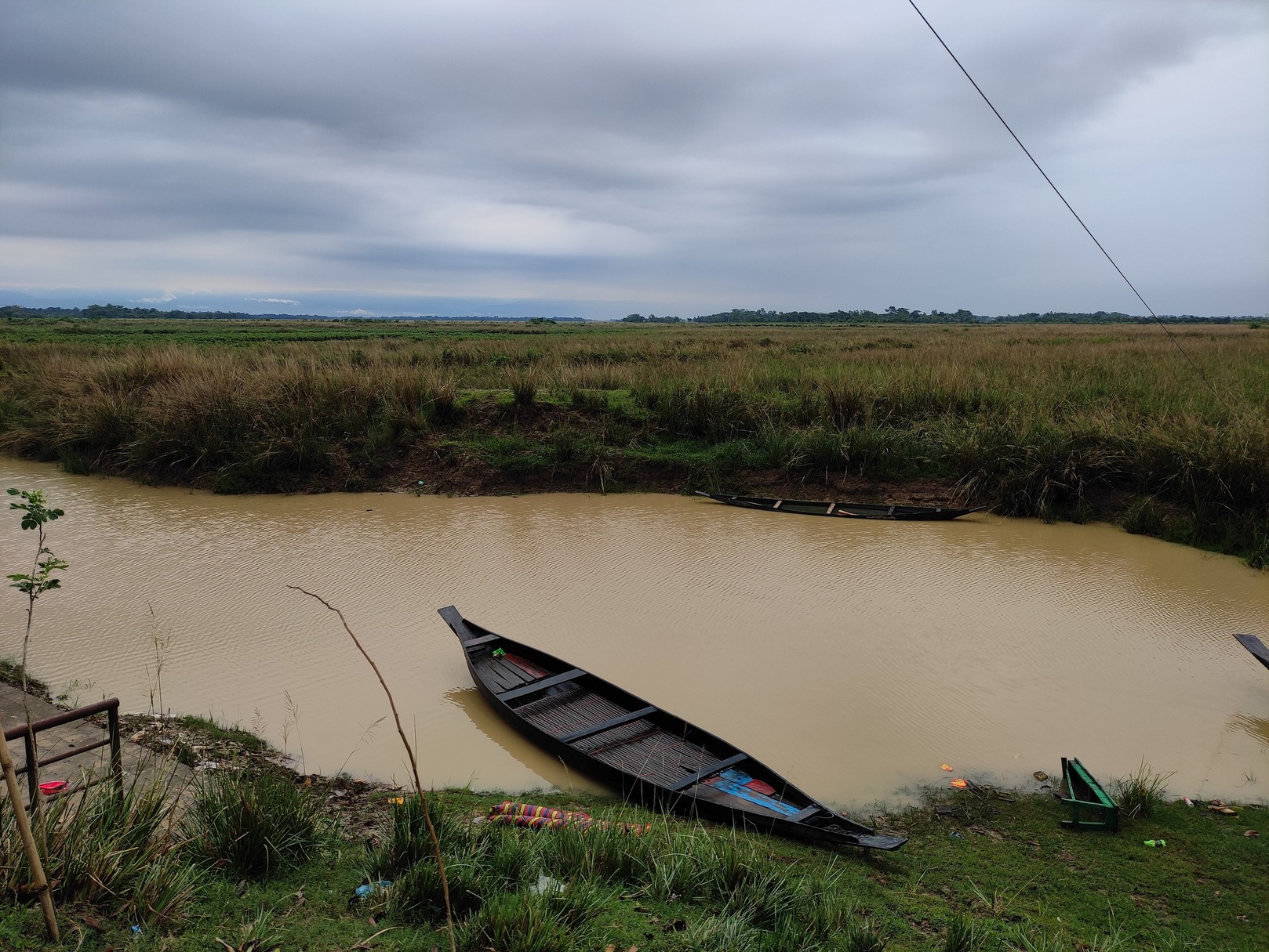 Ratargul Swamp Forest